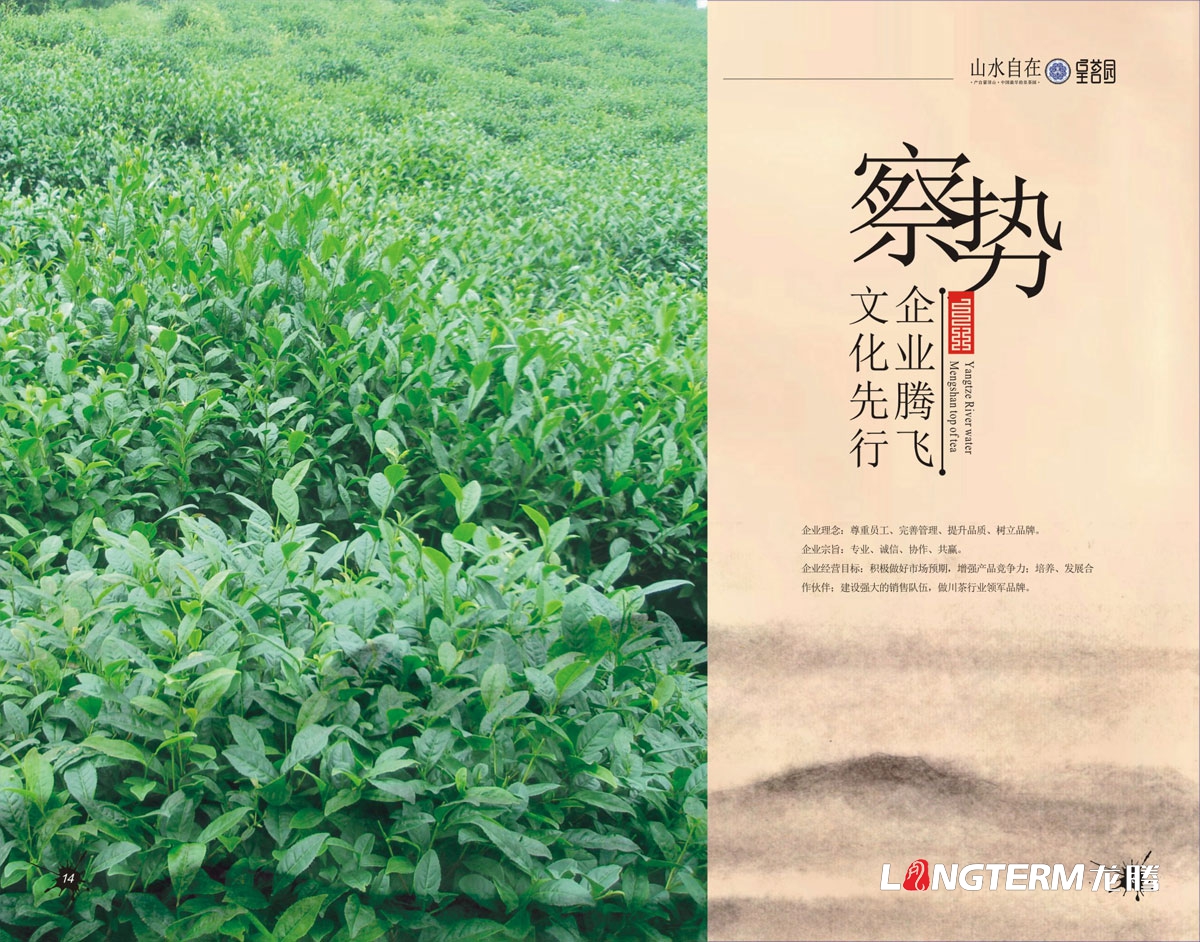 皇茗园茶叶集团宣传册设计|雅安茶叶农业科技公司宣传册设计