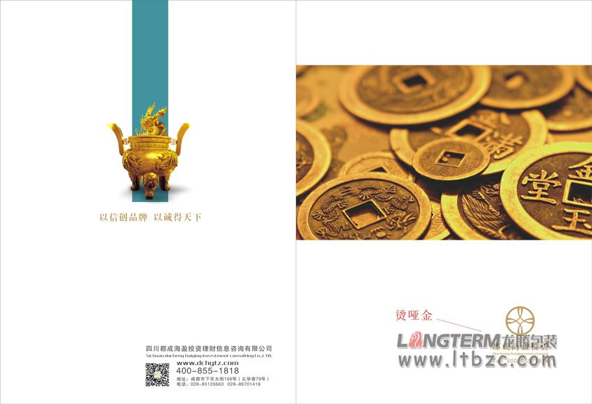 成都都成海盈投资公司画册设计