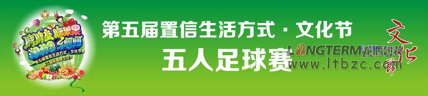 成都置信文化节宣传物料设计