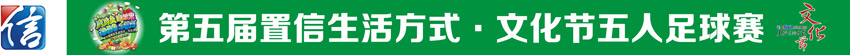 成都置信文化节宣传物料设计