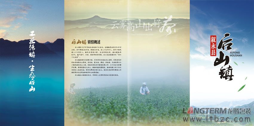 叙永县茶文化节宣传折页设计