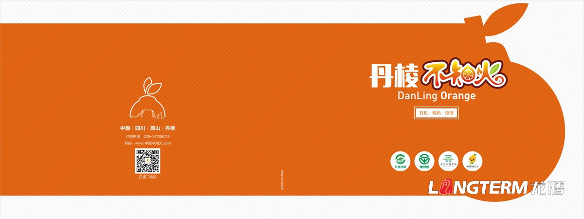 丹棱桔橙招商画册设计|丹棱县水果橘子橙子招商引资宣传册设计公司