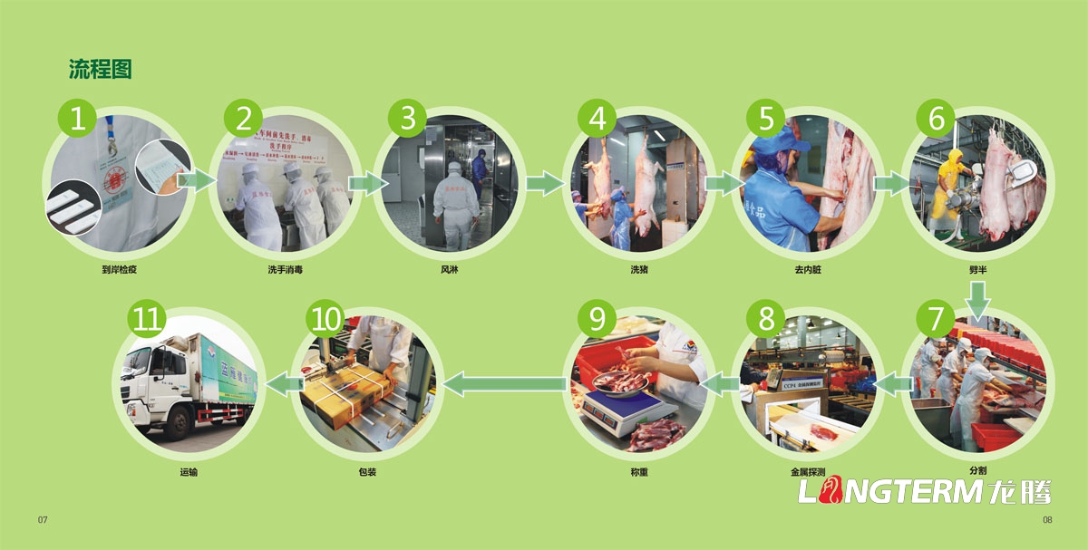 四川省井研食品有限责任公司形象画册设计|四川蓝雁集团食品企业宣传册设计公司
