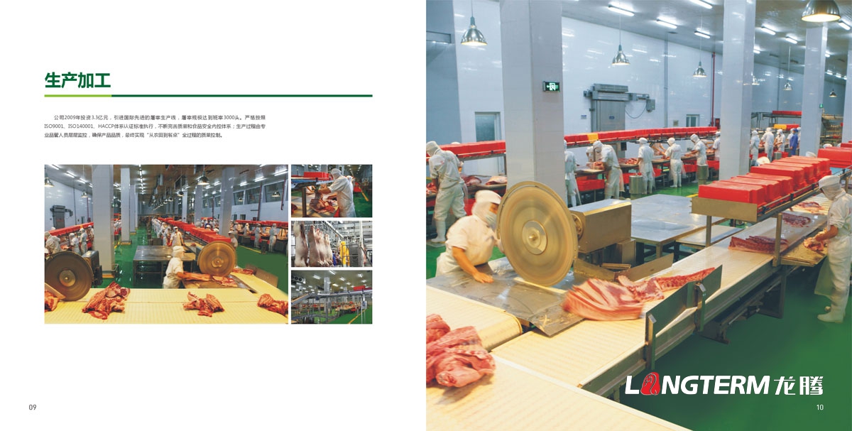 四川省井研食品有限责任公司形象画册设计|四川蓝雁集团食品企业宣传册设计公司