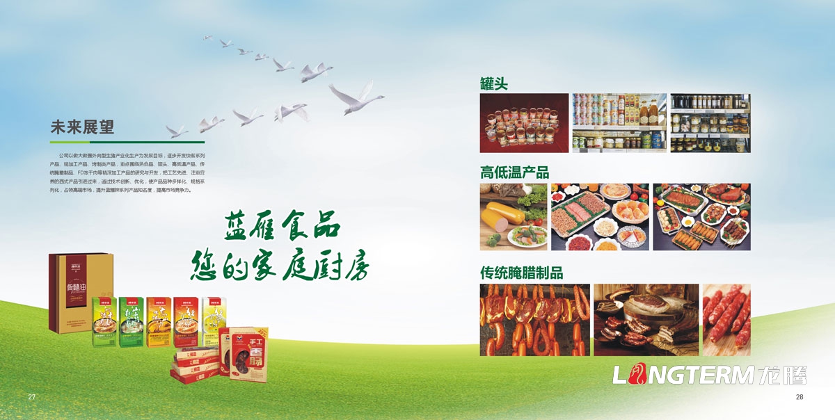 四川省井研食品有限责任公司形象画册设计|四川蓝雁集团食品企业宣传册设计公司