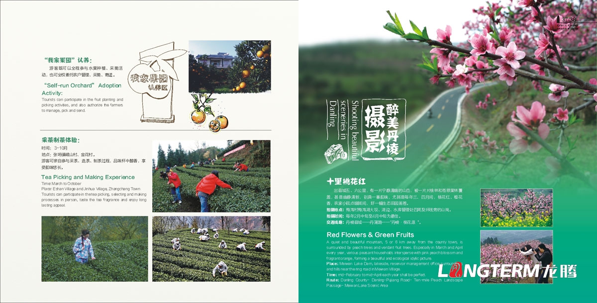 丹棱县城市旅游宣传画册设计|丹棱美食美景特色乡村旅游活动宣传物料设计